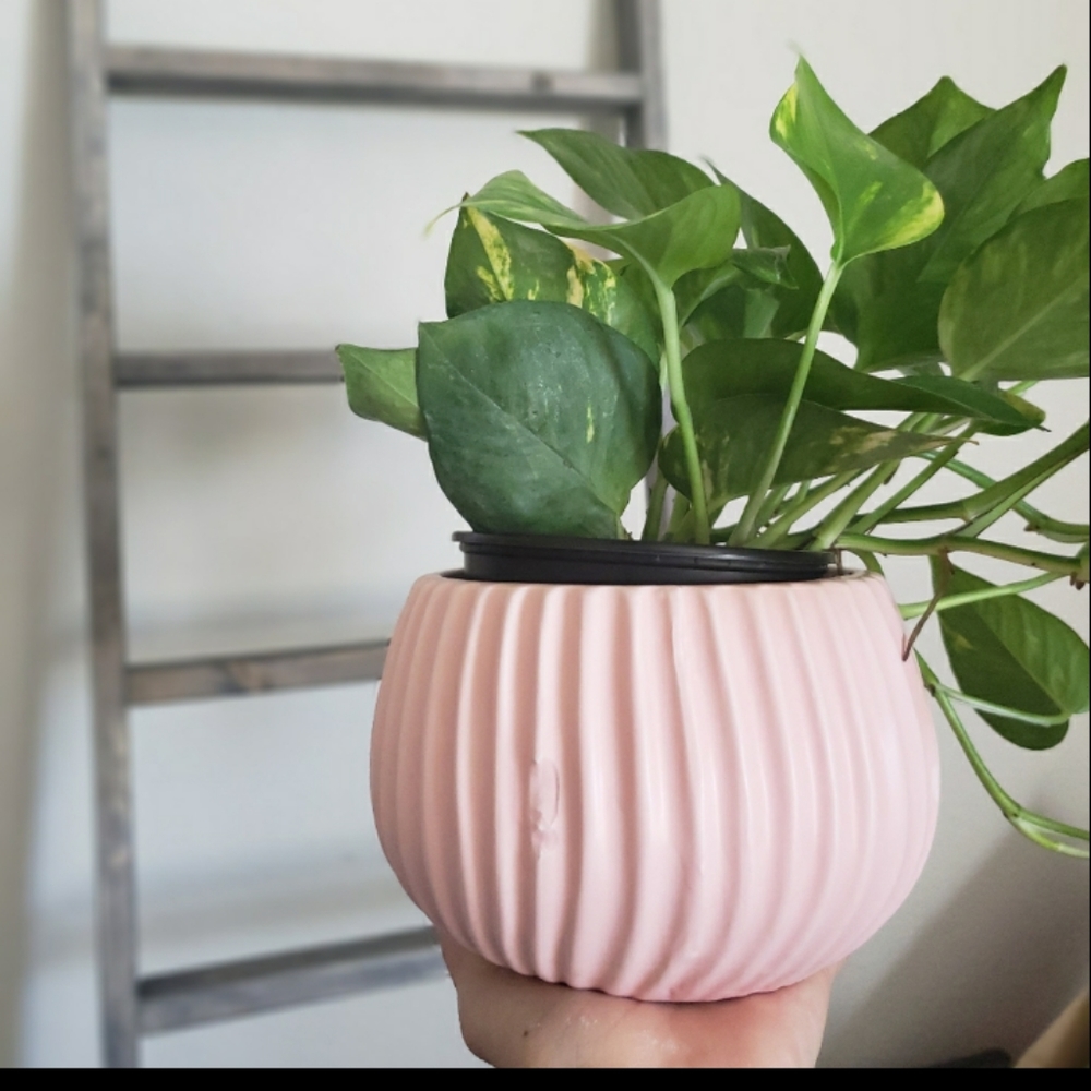 Matte pink swirly planter/pot - Picture 1 of 2